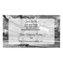 Black and White Trees business cards