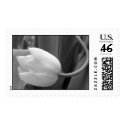 black and white tulip postage
