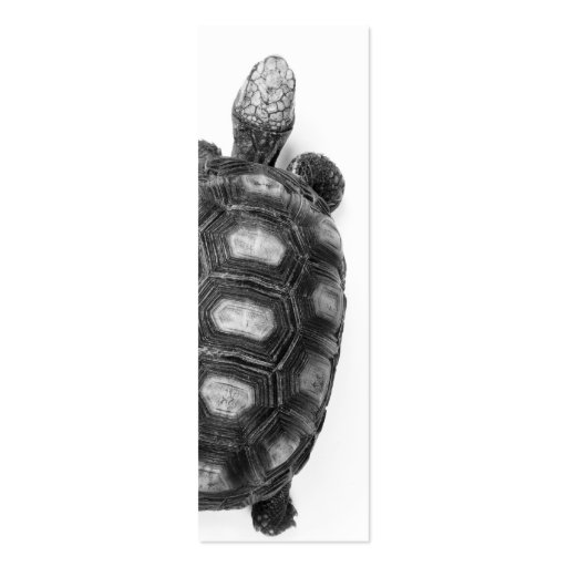Black and White Turtle Design Business Card (front side)