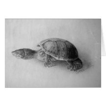 Black and White Turtle Greeting Card
