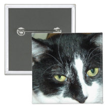 Black and White Tuxedo Cat Pinback Button