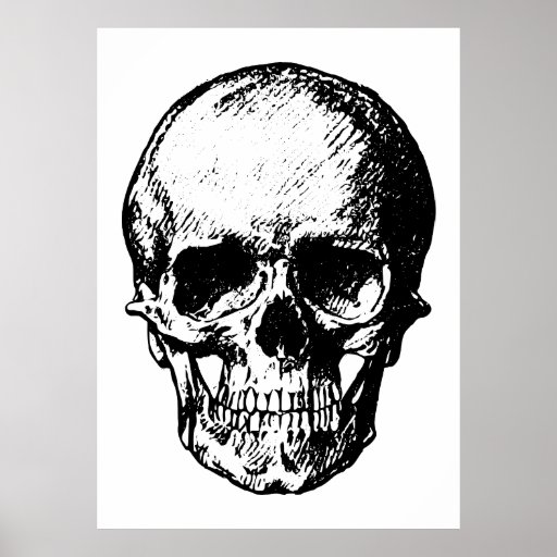Black and White Vintage Skull Illustration Print | Zazzle