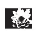 black and white waterlily posters