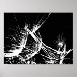 Black and White whisps Posters
