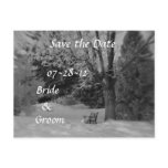 Black and White Winter Bench Wedding Postcards