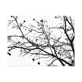 Black and White Winter Tree Canvas Print