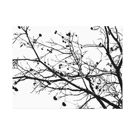 Black and White Winter Tree Canvas Print