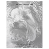Black and White Yorkshire Terrier Yorkie Portrait Letterhead Template