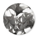 black and white yucca lillies magnets by jtreegirl black and white yucca lillies magnets