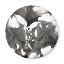 black and white yucca lillies magnets