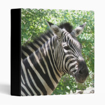 Black and White Zebra Binder