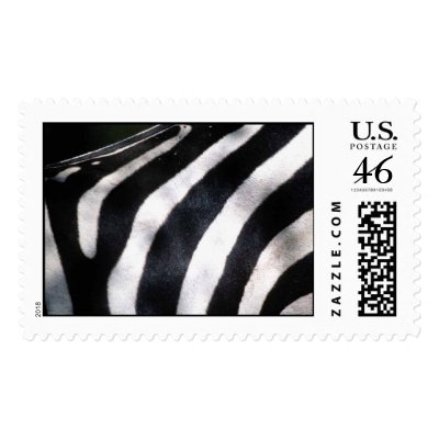 Black and White Zebra Photo Template Postage by tanyapecora