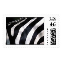 Black and White Zebra Photo Template Postage