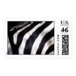 Black and White Zebra Photo Template Postage postage