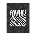 Black and White Zebra Print Pattern. Post Cards