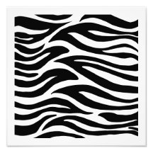 Black and White Zebra Stripes Photo Print