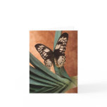 Black and Yellow Butterfly Note Card
