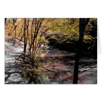 Black and Yellow Greeting Card