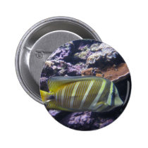Black and yellow Fish buttons