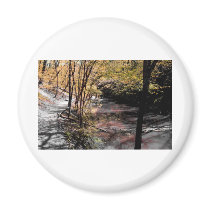 Black and Yellow Magnet