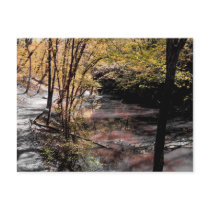 Black and Yellow Postcards