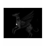 Black Angel Greyhound Shirts