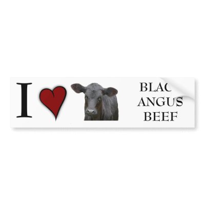 Black Angus Beef  - I love heart design Bumper Sticker by RedneckHillbillies