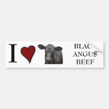 Black Angus Beef  - I love heart design Bumper Sticker
