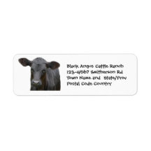 Black Angus Cattle Farm or Ranch Sticker Return Address Label