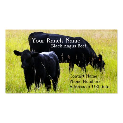 Black Angus Cattle Grazing in Field Business Card Templates (front side)