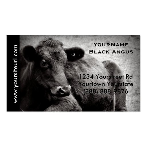 Black Angus Cattle Photo for  Beef Ranch or Farm Business Card Template (front side)
