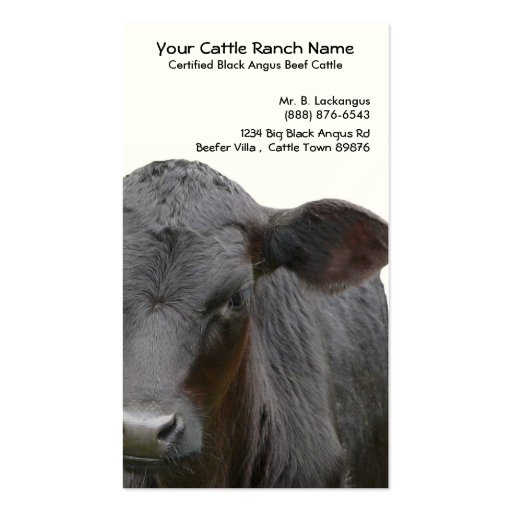 Black Angus Cattle Ranch Business Card (front side)