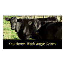 Black Angus Cattle Ranch Business Card Template