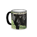 Black Angus Heifer Calves Coffee Mug