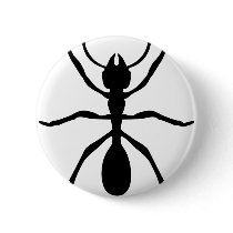 black ant buttons
