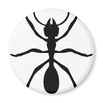 black ant magnets