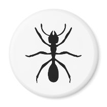 black ant magnets