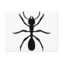 black ant post card