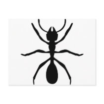 black ant postcards by Tomaniac black ant postcards