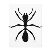 black ant postcards by Tomaniac black ant postcards
