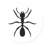 black ant round stickers