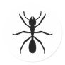 black ant round stickers
