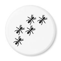 black ant trail magnets