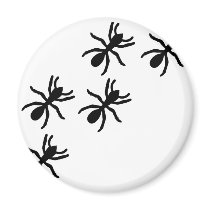 black ant trail magnets