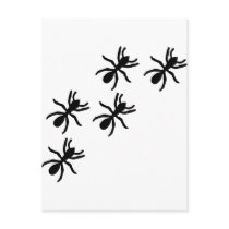 black ant trail postcards by Tomaniac black ant trail postcards