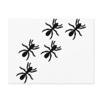 black ant trail postcards by Tomaniac black ant trail postcards