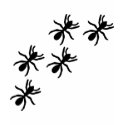 black ant trail t-shirts