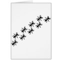 black ants trail cards