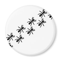 black ants trail magnet