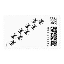 black ants trail postage